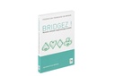 Bridgez-1.jpg