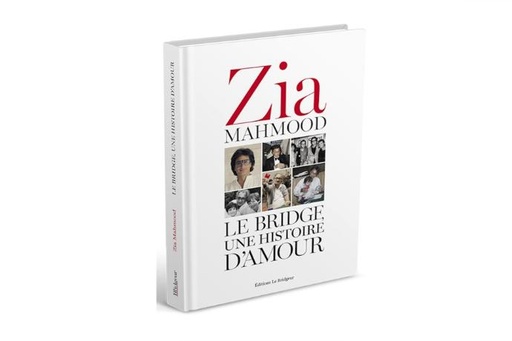 [BR0173] LE BRIDGE UNE HISTOIRE D'AMOUR